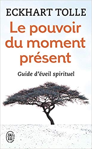 Lire la suite à propos de l’article LE POUVOIR DU MOMENT PRESENT